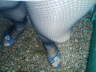 Picture 056